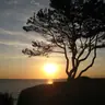 lilalou44