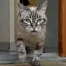 corinneb25
