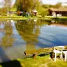 ASSOCIATION FAMILIALE DE PECHE ET LOISIR