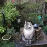 MITSY77