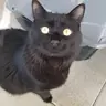 Mel