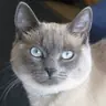 Gigi2956