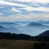 shangoline