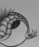 gwendoloena
