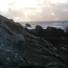 Juju54550