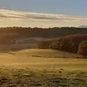 Kiki65