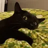Krussy