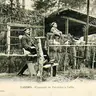 palombe1934