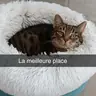 Pepette7721
