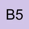 bibiche 59