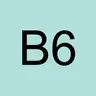 bernard 68