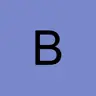 burdigaladiver