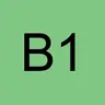 BIbi 17