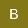 Bibipuce
