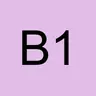 bernard56_1