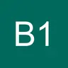 Bm_1
