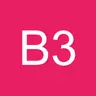 bigoudi-33
