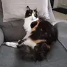 Manuaub