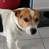 Phil_33