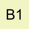 bebecat 1