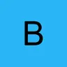 Bricito