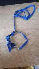 Harnais bleu foncé neuf