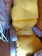 fauteuil électrique