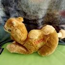 peluche souvenir de Tunisie