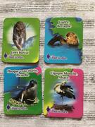 Magnet animaux et régions