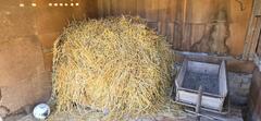 Paille bio