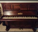 Donne PIANO