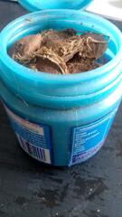 Noyaux pour plantations