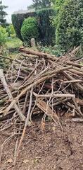 bois de chauffage