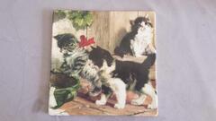 Dessous de plat motif Chatons