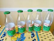 5 bouteilles en verre vides
