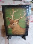 photo cerf sur ardoise
