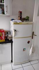 Frigo
