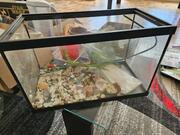 Donne un petit aquarium pour décoration