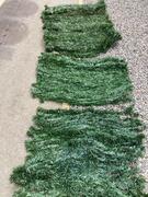 brise vue vert