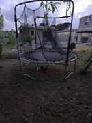 Trampoline