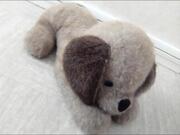 peluche chien