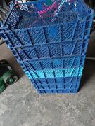Cagettes plastiques