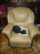 donne 2 fauteuils juste un nettoyage