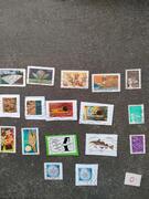 Timbres français lot 0