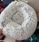 coussin petit chien ou chat