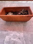 jardiniere
