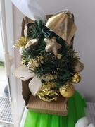 mini sapin de Noël encore dans un emballage saint-Jacques-de-la-Lande