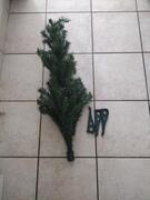 petit sapin