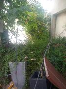 arche pour jardin ou decoration