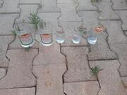 lot de verre